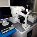 IMG_1136_productimage_2850_0.jpg