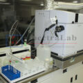IMG_1725_productimage_2534_1.jpg