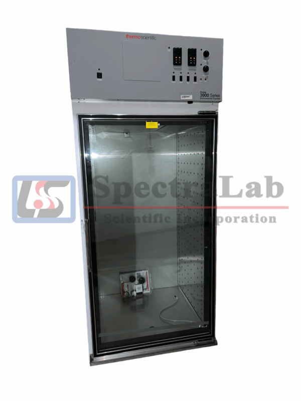 IMG_8446-1-PhotoRoom.png-PhotoRoom-1.png