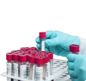 Services include repair, preventative maintenance, service contracts, and validation services. Lab services include analytical testing.