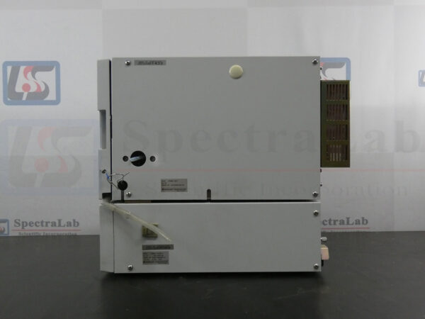 P1050067-copy.jpg