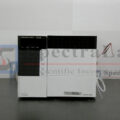 P1050129-copy.jpg