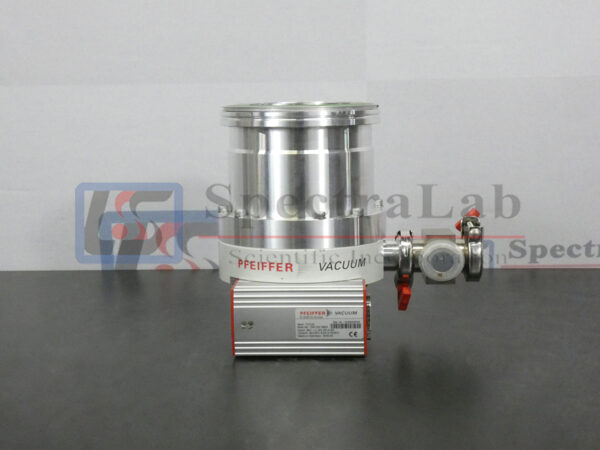 P1050752-copy.jpg