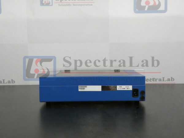 P1050770-copy.jpg