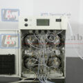 P1060332-copy.jpg