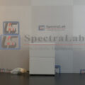 P1070165-copy.jpg