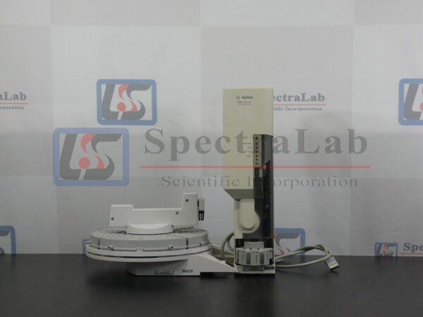 P1070548-copy.jpg